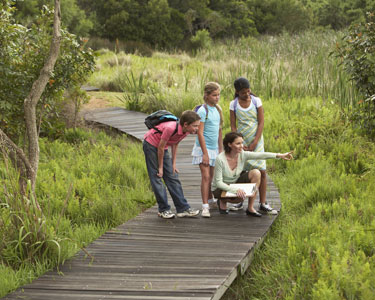 Kids Sarasota and Bradenton: Nature and Animal - Fun 4 Manasota Kids