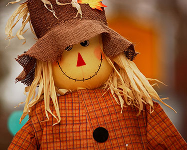 Kids Sarasota and Bradenton: Halloween and Fall Displays - Fun 4 Manasota Kids