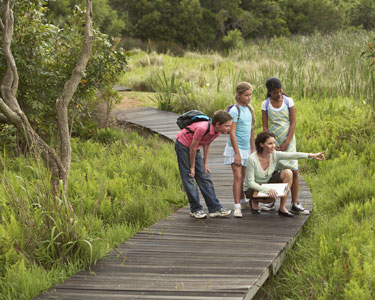 Kids Sarasota and Bradenton: Homeschool Enrichment - Fun 4 Manasota Kids