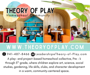 Theory of Play
