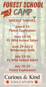 Curious and Kind Forest School Summer Camp