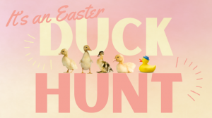 duck hunt.png