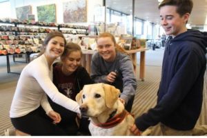 therapy dog_0.jpg