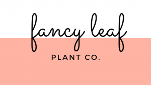 fancy leaf.png