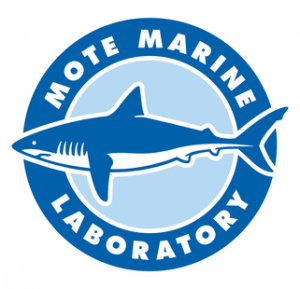 mote logo.png