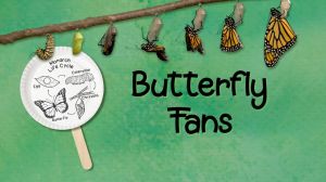 butterfly fan.jpg