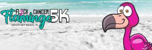 flamingo 5k.jpg