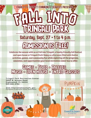 fall into tringali.jpg