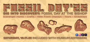 FOSSIL DAY.png
