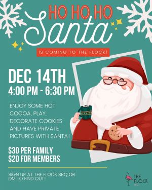 santa flock.jpg