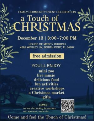 a touch of christmas.jpg