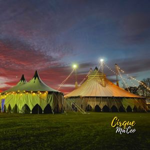 bradenton cirwue.jpg