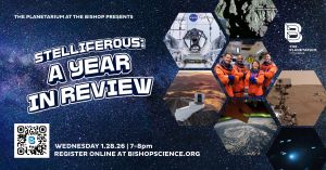 a year in review.jpg