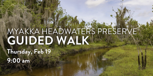 Screenshot 2026-01-29 162706.png