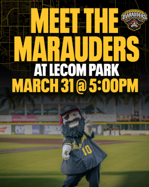 MEET THE MARAUDERS 2.png