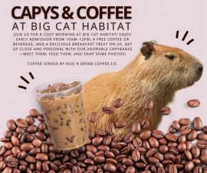 capys.jpg