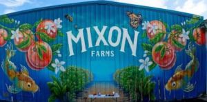 Mixon Farms.jpg