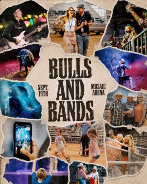Bulls and Bands.jpg