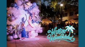 Winter Wonderland.jfif