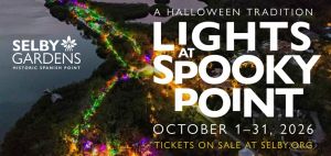 Lights at Spooky Point.jpg