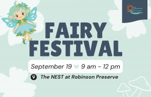 Fairy Festival.jfif