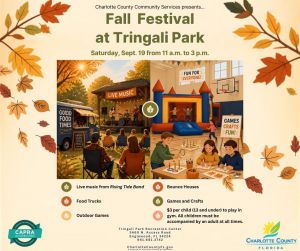 Tringali Park Fall Festival.jfif