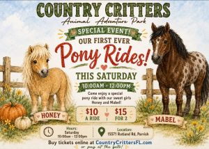 Country Critters Pony Rides.jpg