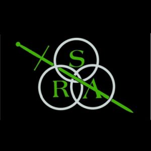 Steel Ring Academy- Teen SwordFight Classes