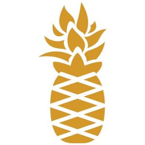 Pineapple Kitchen Kids Culinary Programs