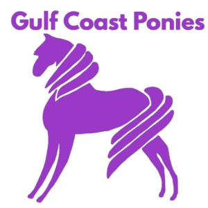 Gulf Coast Ponies
