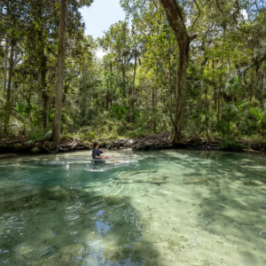 Chassahowitzka Springs aka The Crack