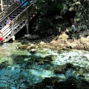 Madison Blue Spring State Park