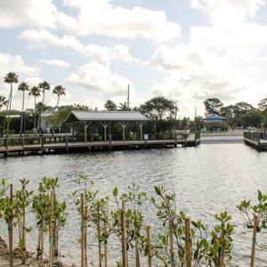 Blackburn Point Park