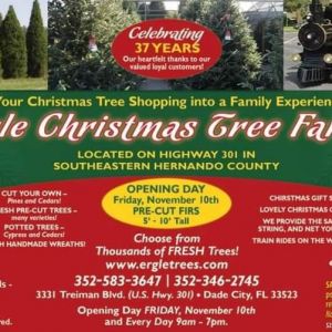 Ergle Christmas Tree Farms