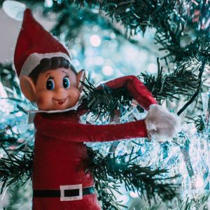 11/24-01/02 Hidden Elves at Main Street Lakewood Ranch Contest