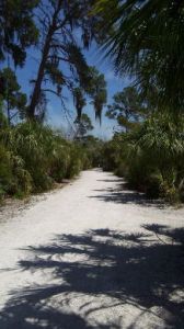 Riverview Pointe Preserve