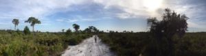 Moody Branch Preserve Trails