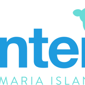 Center of Anna Maria Island, The - Youth Programs