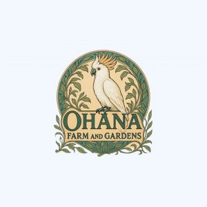 Ohana Farm and Gardens Summer Nature Art Camp