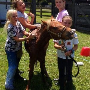 Home Run Farm Summer Camp