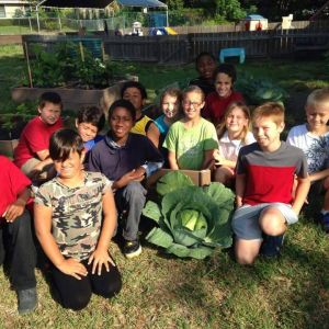 Manatee Learning Academy Summer Camp