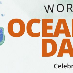 06/07 - World Ocean Day Celebration at The NEST at Robinson Preserve