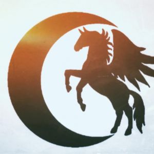 Black Moon Equestrian Services Summer Camp