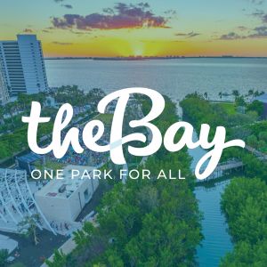 Family Movie Night at The Bay Sarasota