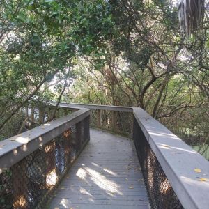South Brohard Park