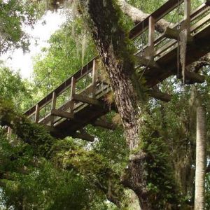 Myakka River State Park