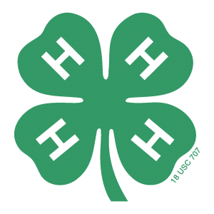 4-H of Sarasota County - Action Clovers Club