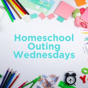 Homeschool Wednesdays at Canvas and Clay Art Studio