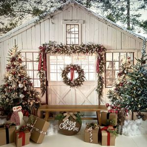 Kari Rae Photography Holiday Minis