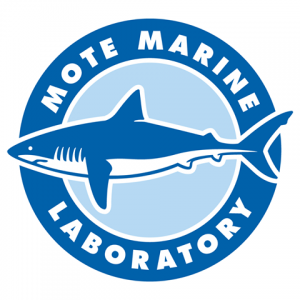 Mote Marine Laboratory and Aquarium - Mote SEA Day Camps